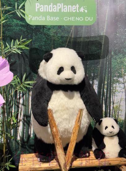 《熊猫说球》第二十三集：规则的精神和调整